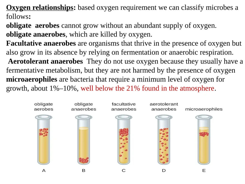Bacterial Taxonomy Dr. Namita Ashish Singh - slide 12 of 41
