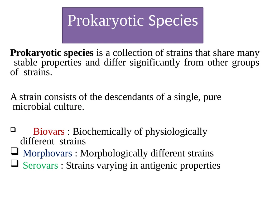 Bacterial Taxonomy Dr. Namita Ashish Singh - slide 5 of 41