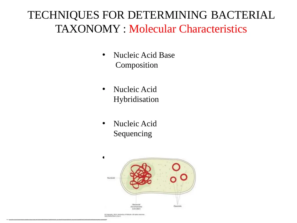 Bacterial Taxonomy Dr. Namita Ashish Singh - slide 16 of 41