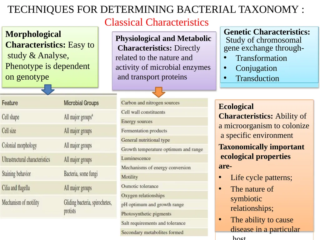 Bacterial Taxonomy Dr. Namita Ashish Singh - slide 6 of 41
