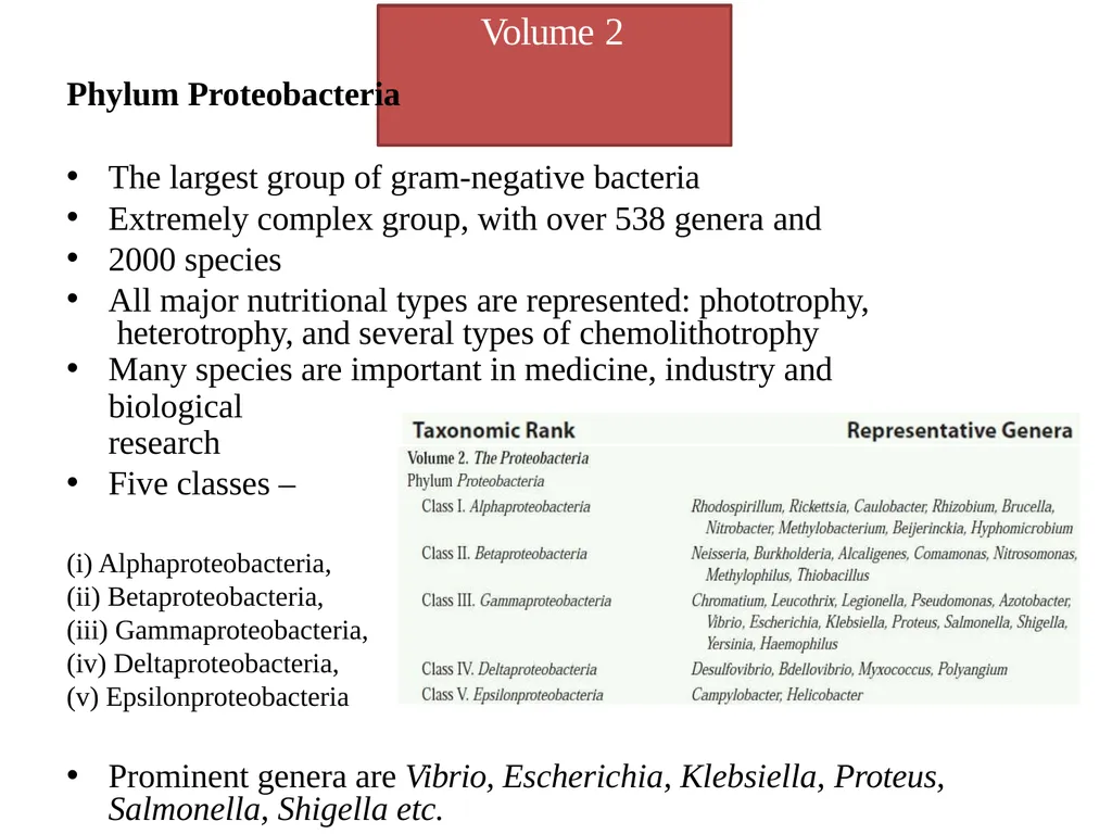 Bacterial Taxonomy Dr. Namita Ashish Singh - slide 31 of 41