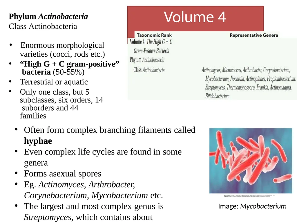 Bacterial Taxonomy Dr. Namita Ashish Singh - slide 37 of 41
