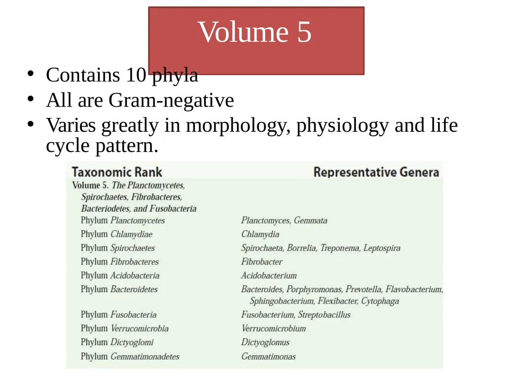 Bacterial Taxonomy Dr. Namita Ashish Singh - slide 38 of 41