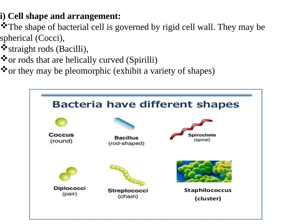 Bacterial Taxonomy Dr. Namita Ashish Singh - slide 8 of 41