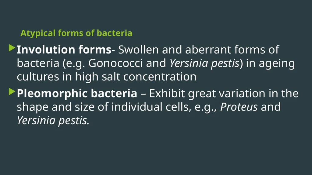 General Bacteriology MORPHOLOGY Gram positive - slide 34 of 38