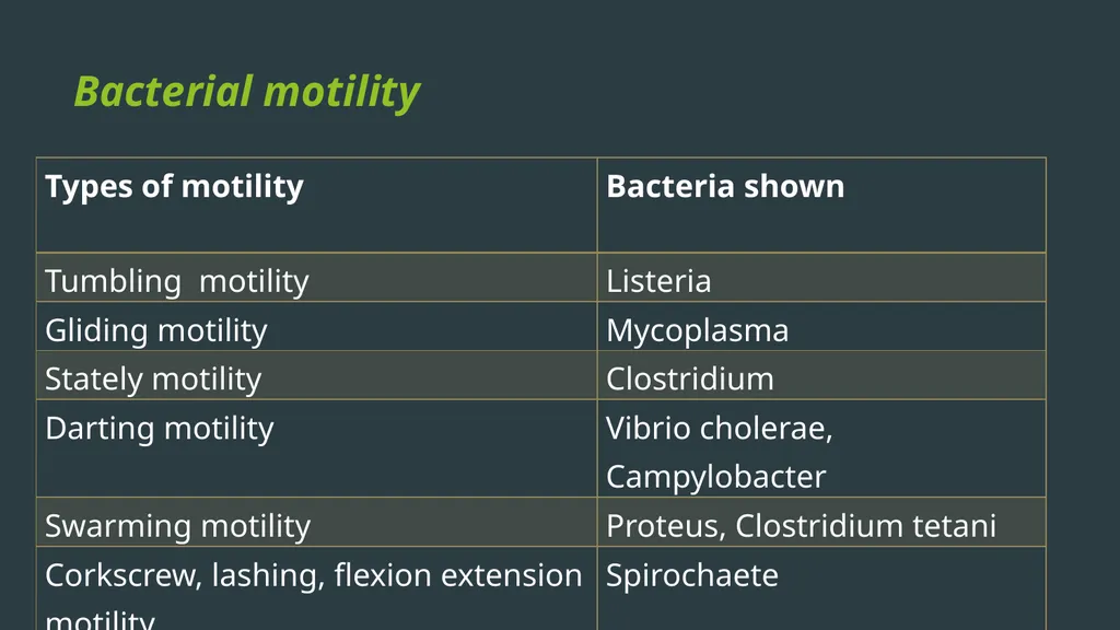 General Bacteriology MORPHOLOGY Gram positive - slide 30 of 38