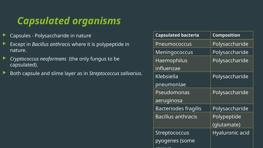 General Bacteriology MORPHOLOGY Gram positive - slide 22 of 38