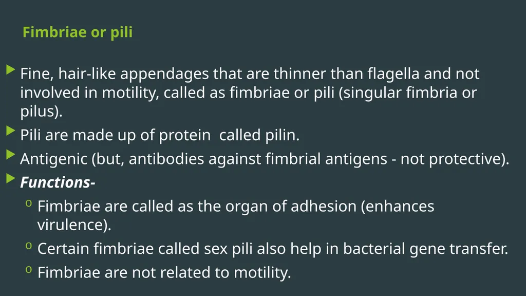General Bacteriology MORPHOLOGY Gram positive - slide 31 of 38