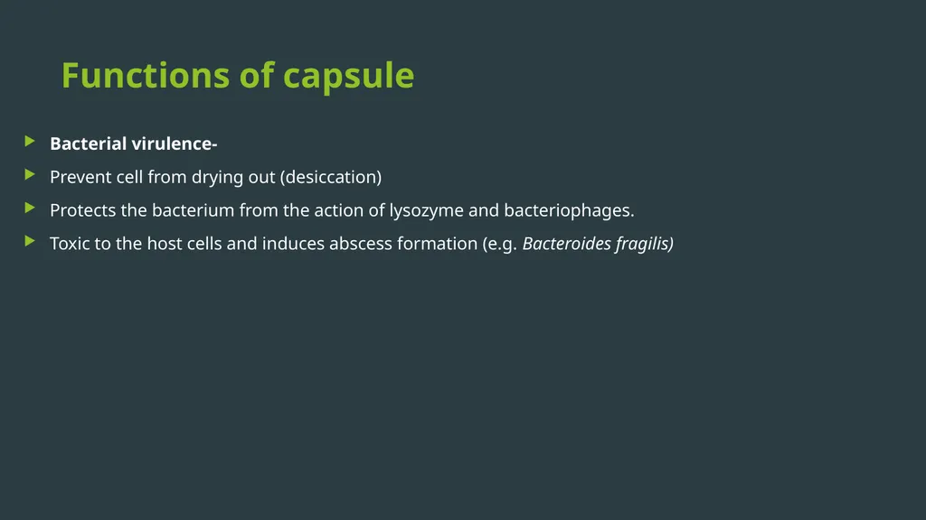 General Bacteriology MORPHOLOGY Gram positive - slide 24 of 38