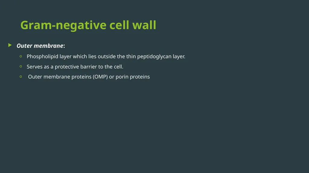 General Bacteriology MORPHOLOGY Gram positive - slide 10 of 38