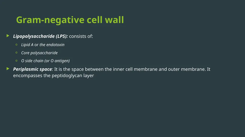 General Bacteriology MORPHOLOGY Gram positive - slide 11 of 38