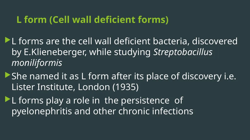 General Bacteriology MORPHOLOGY Gram positive - slide 35 of 38