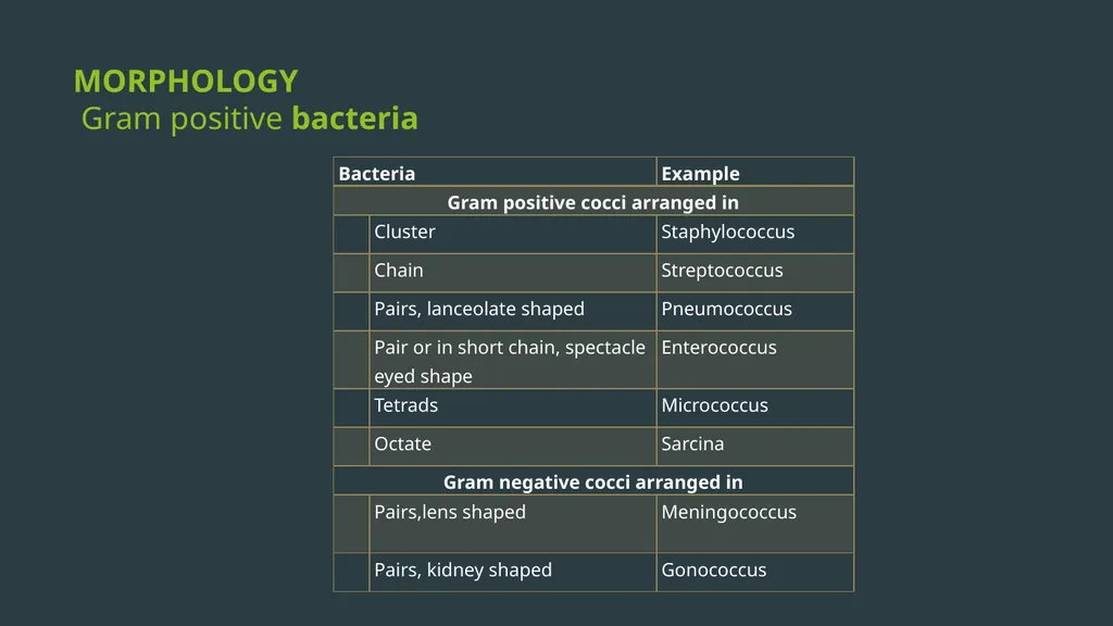 General Bacteriology MORPHOLOGY Gram positive - slide 2 of 38
