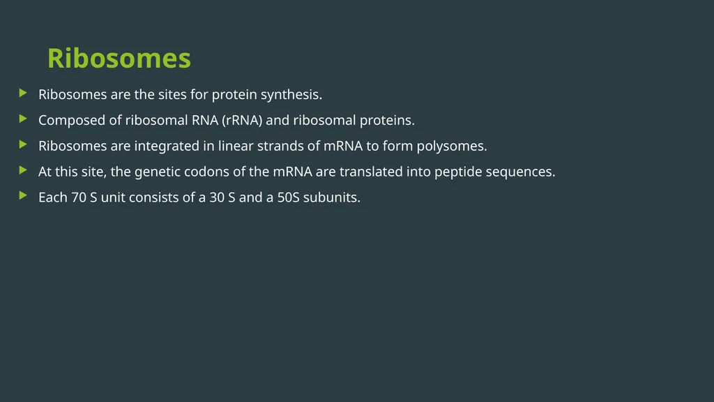 General Bacteriology MORPHOLOGY Gram positive - slide 16 of 38