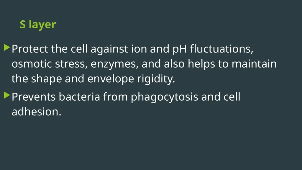 General Bacteriology MORPHOLOGY Gram positive - slide 27 of 38