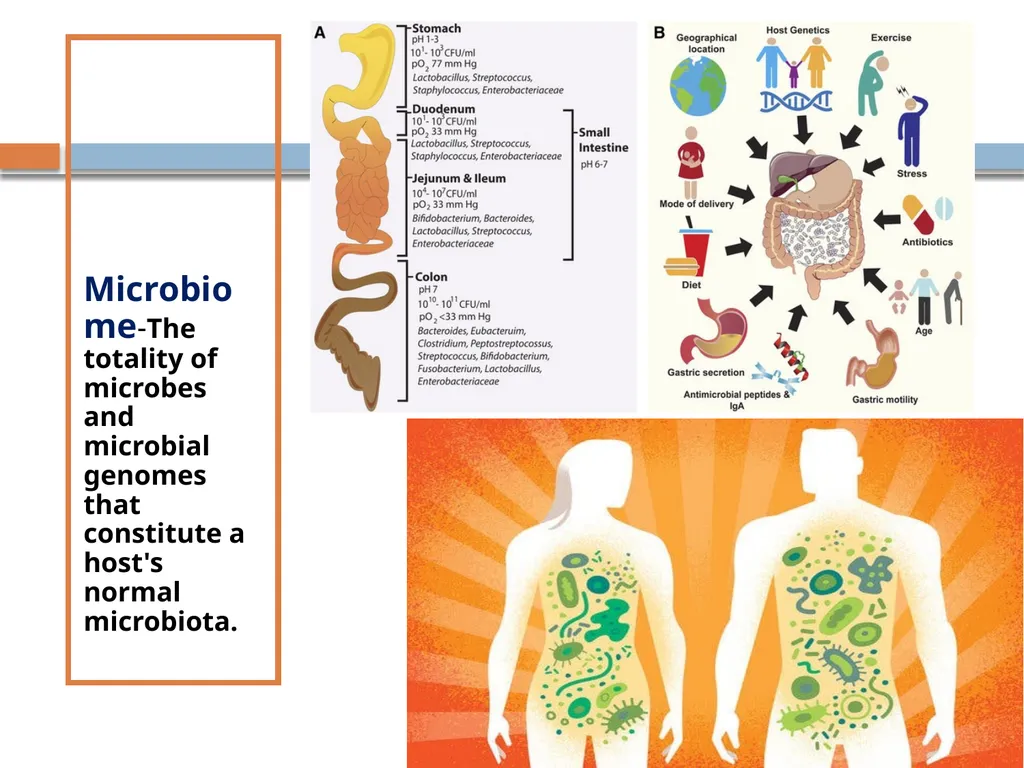Clinical Microbiology- An Introduction Dr Deborah - slide 21 of 24