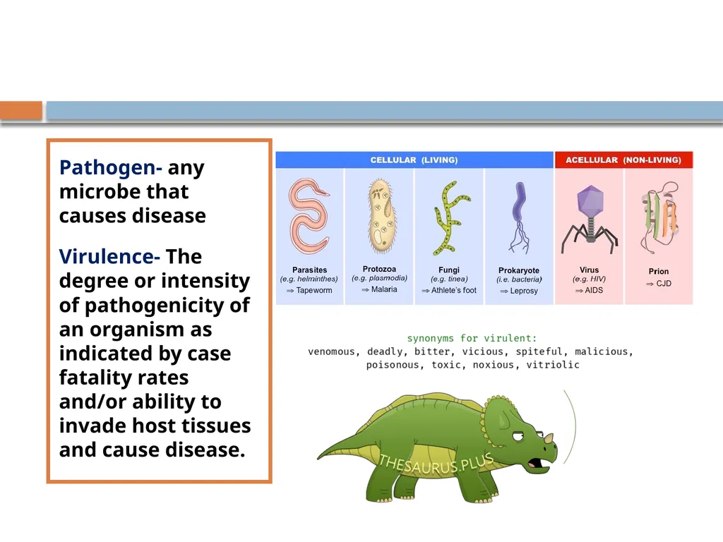 Clinical Microbiology- An Introduction Dr Deborah - slide 18 of 24