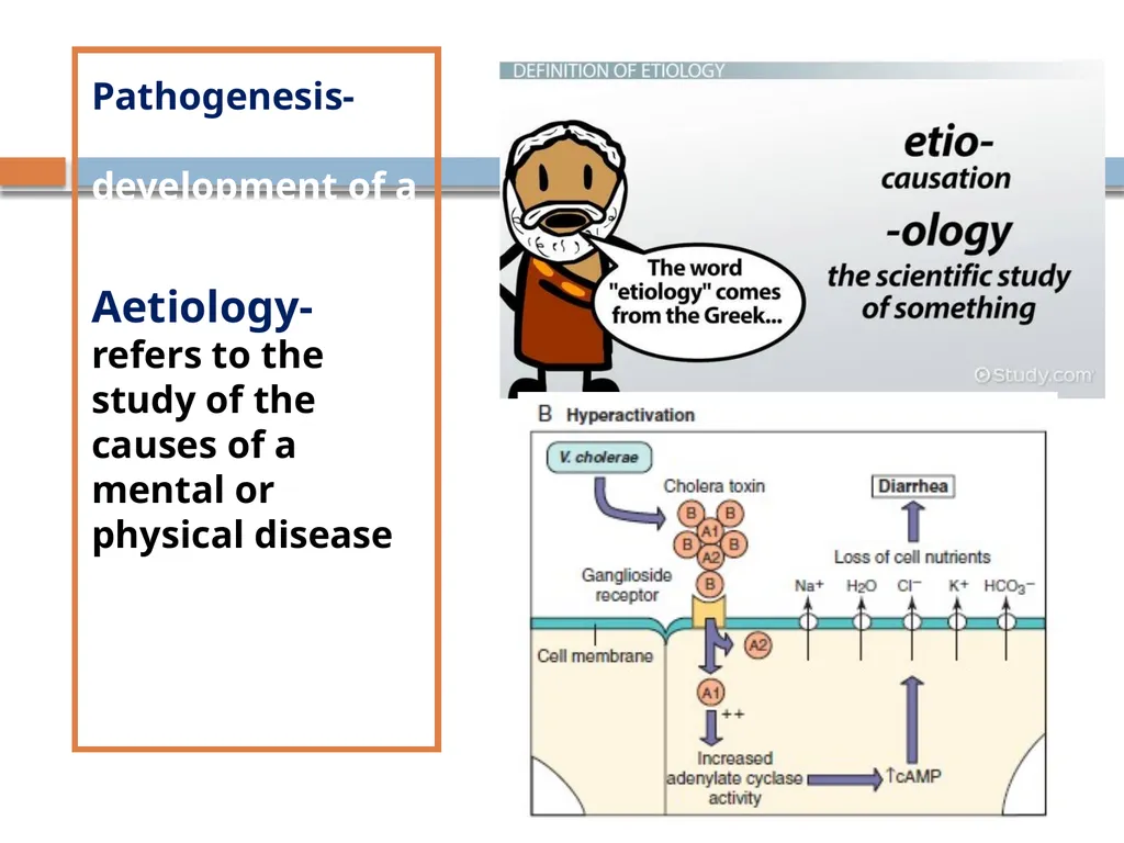 Clinical Microbiology- An Introduction Dr Deborah - slide 22 of 24