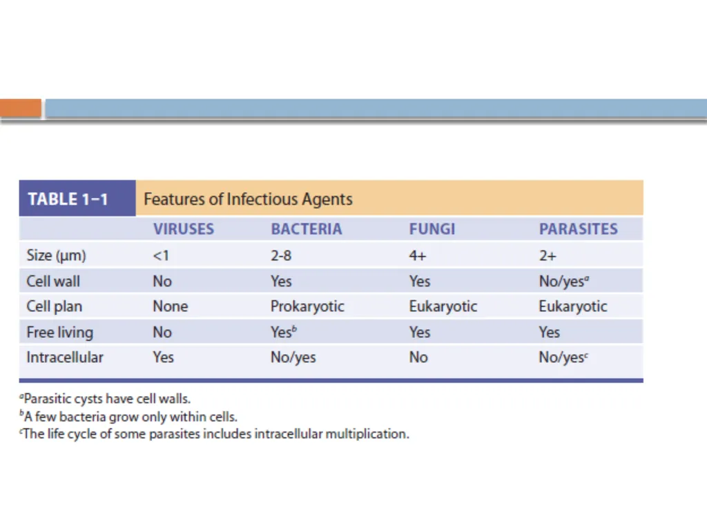 Clinical Microbiology- An Introduction Dr Deborah - slide 16 of 24