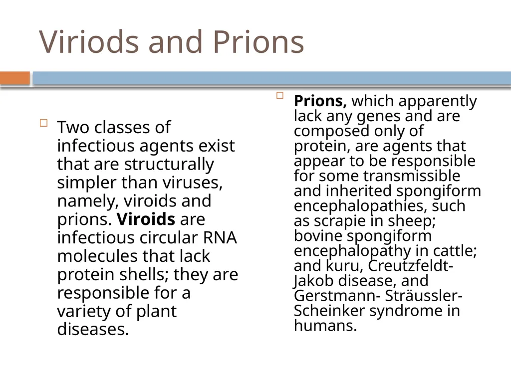 Clinical Microbiology- An Introduction Dr Deborah - slide 17 of 24