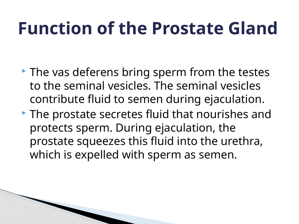 Macmillan Urology Oncology Clinical Nurse - slide 3 of 13