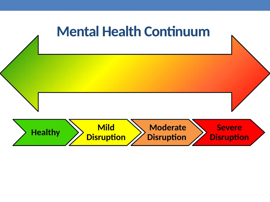Mental Health education Dr. Mike Condra - slide 4 of 26