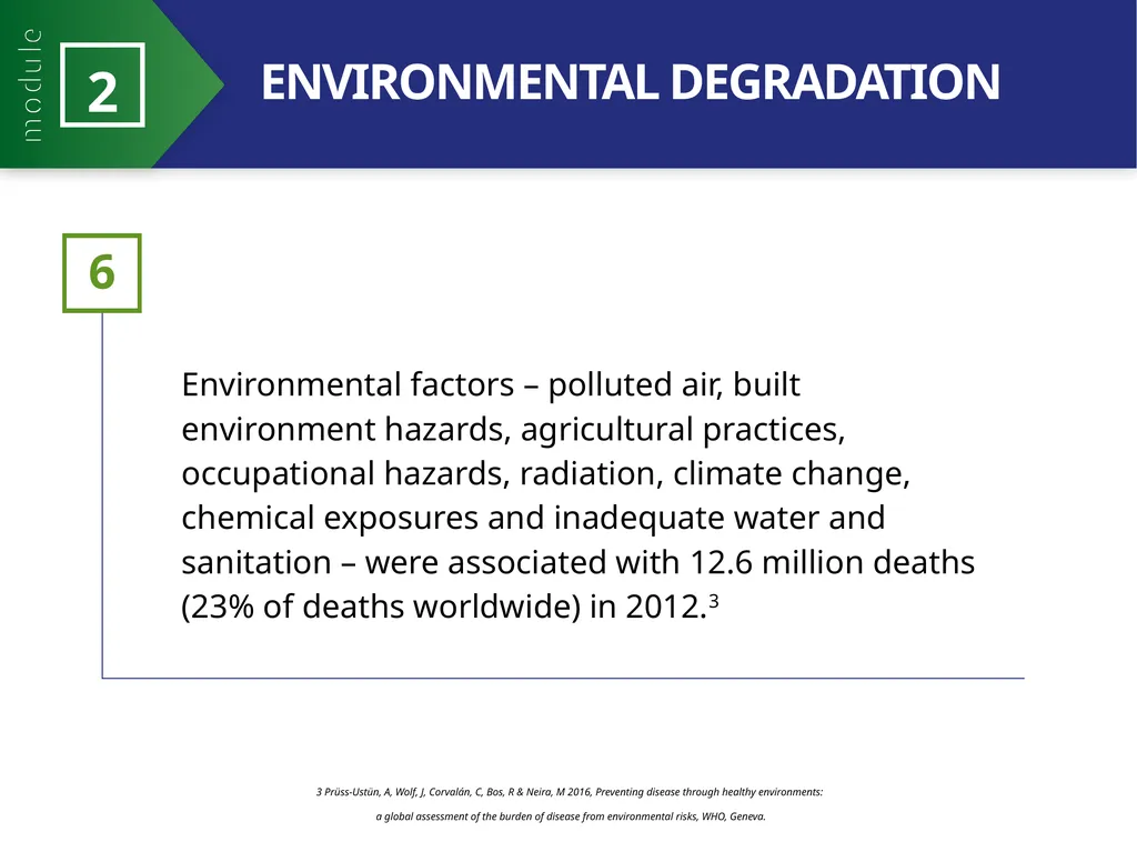 MODULE 2 PART 1 21st Century Health Dynamics and - slide 17 of 21