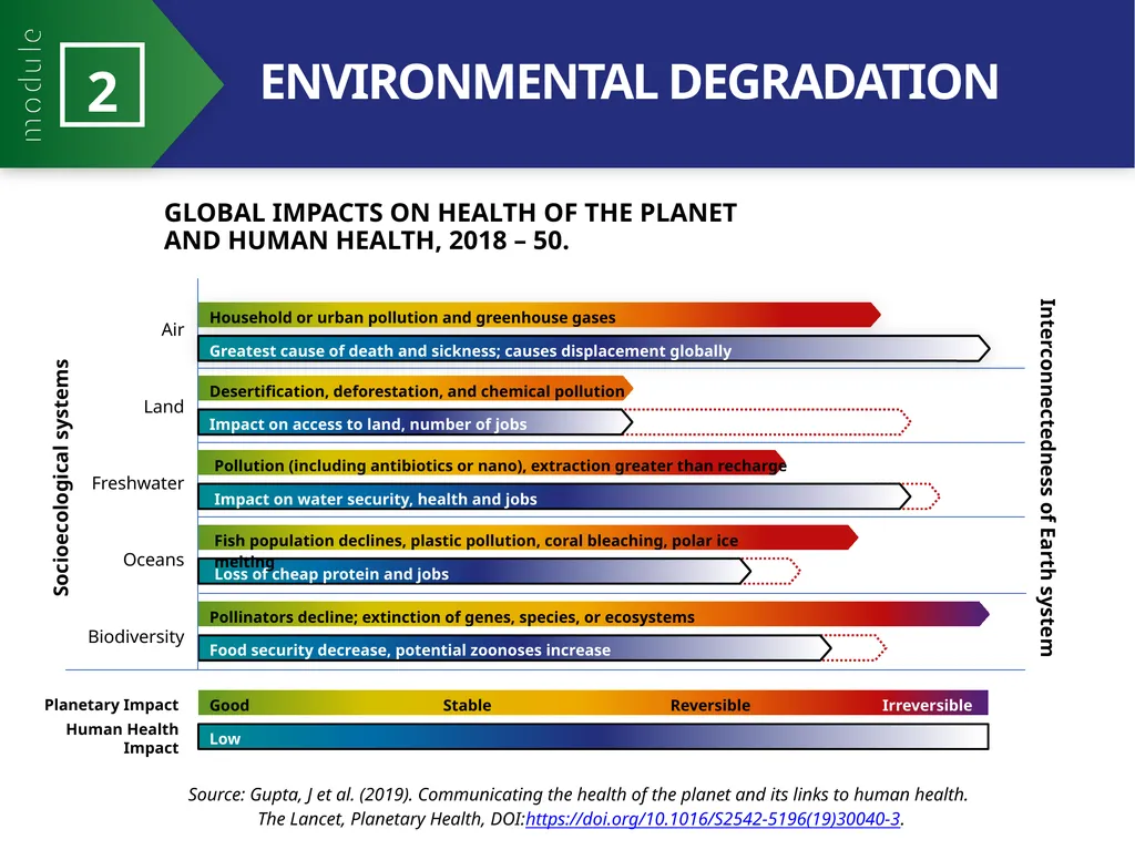 MODULE 2 PART 1 21st Century Health Dynamics and - slide 18 of 21