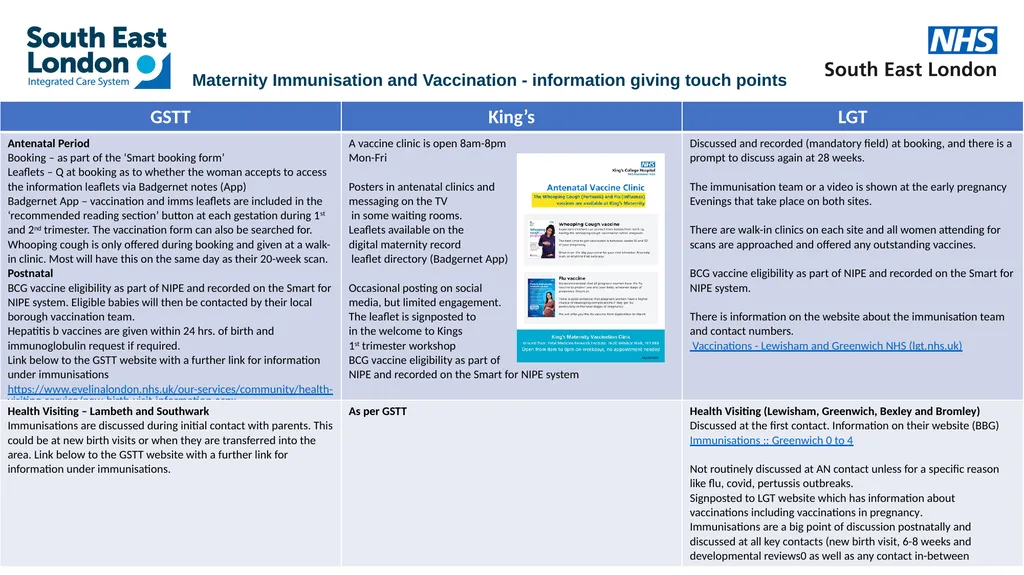 1 Maternity Immunisation and Vaccination -