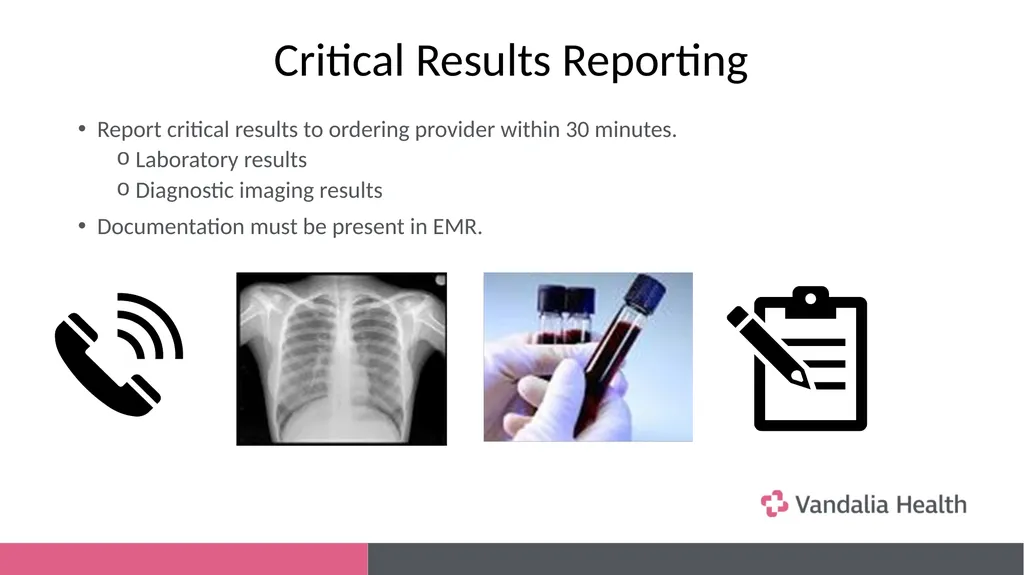 Vandalia Health Patient Safety Fostering a shared - slide 4 of 8