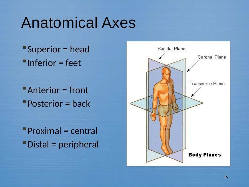 Methods In Medical Image Analysis Spring 2022 - slide 14 of 14
