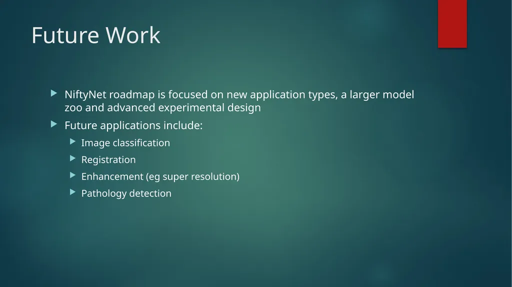 NiftyNet: A Deep learning platform for medical - slide 27 of 27