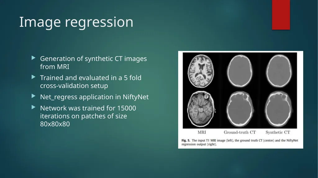 NiftyNet: A Deep learning platform for medical - slide 25 of 27