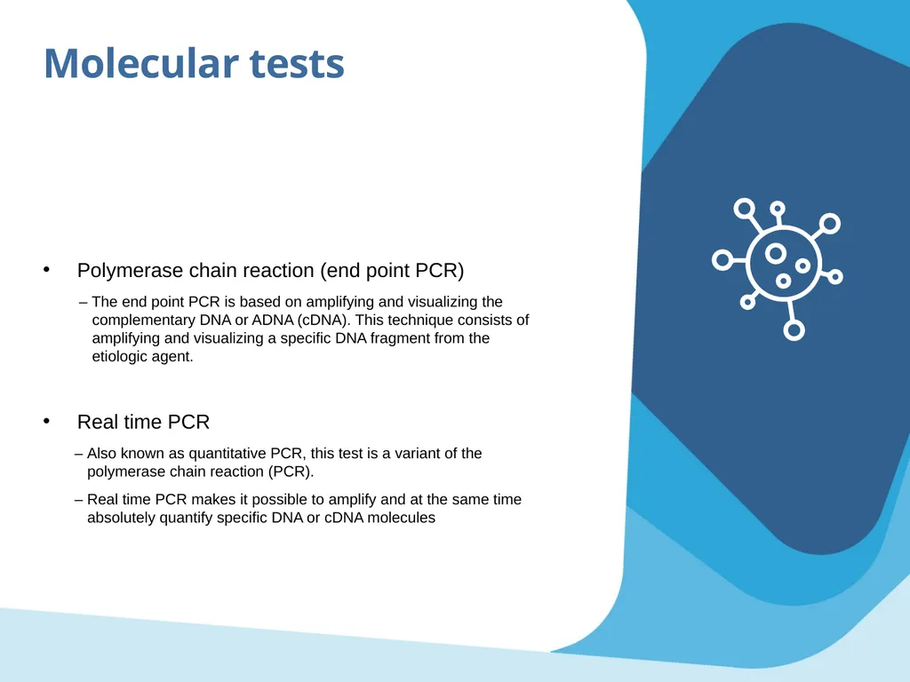 Laboratory tests Objectives Identify the main - slide 11 of 28