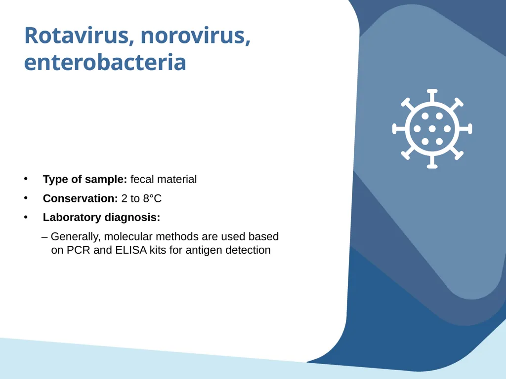 Laboratory tests Objectives Identify the main - slide 25 of 28