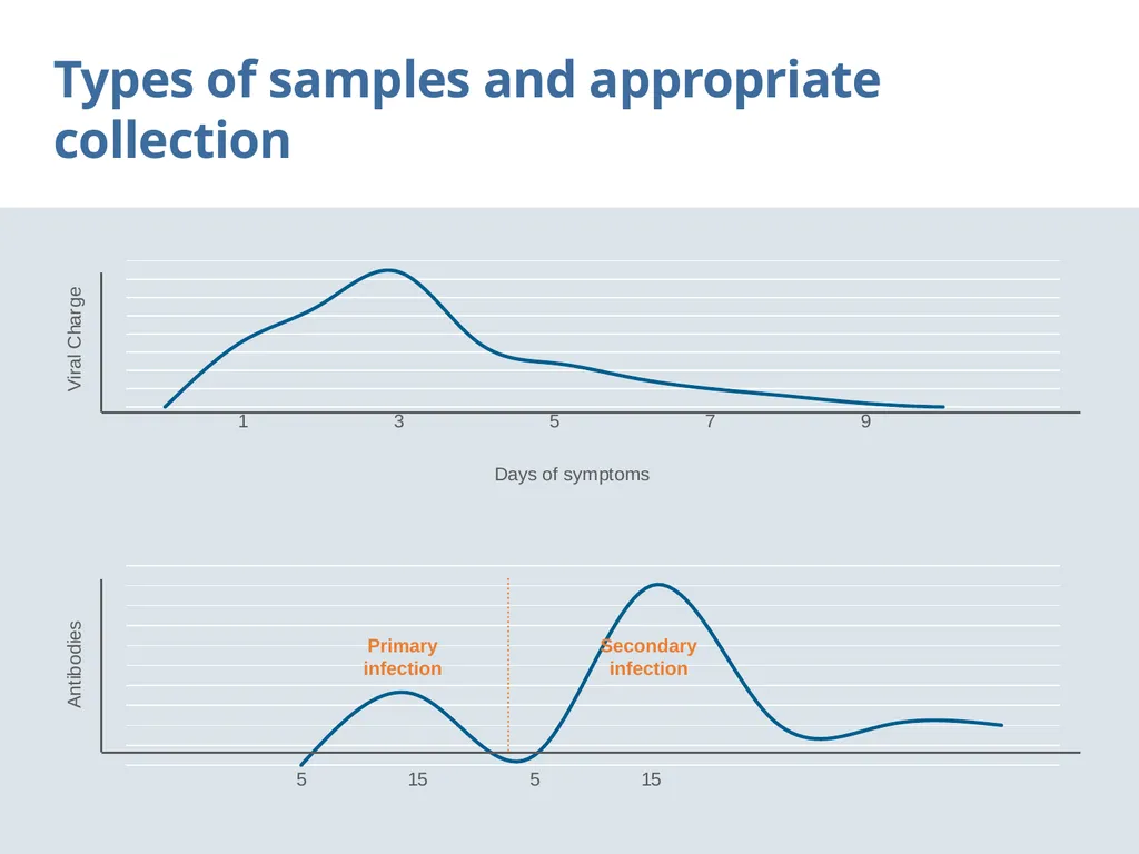 Laboratory tests Objectives Identify the main - slide 8 of 28