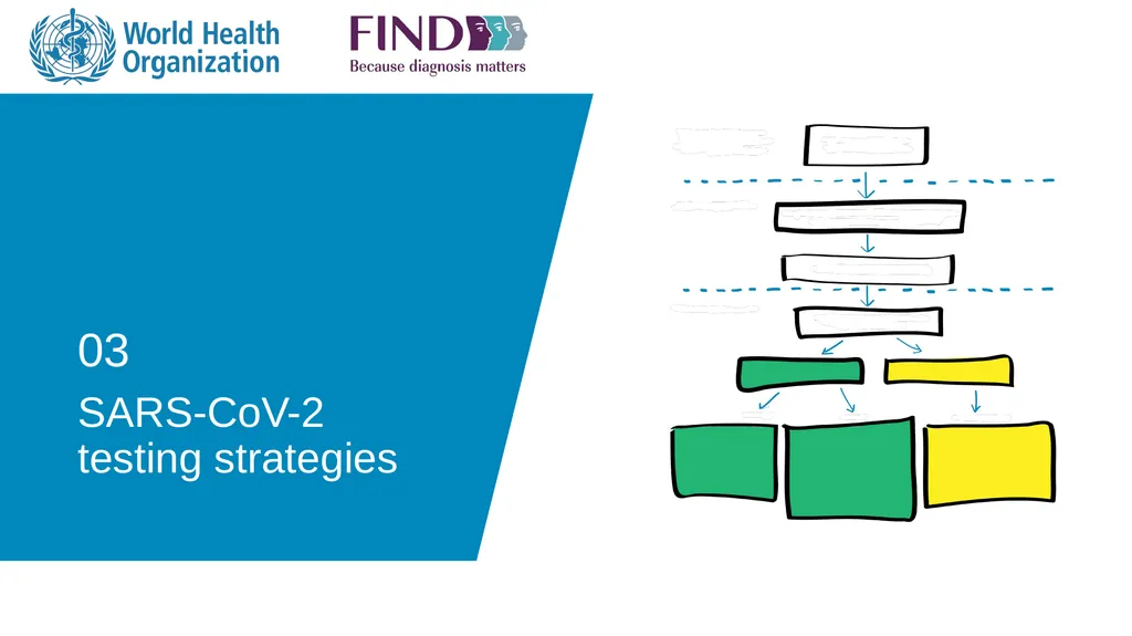 03 SARS-CoV-2 testing strategies Disclaimer WHO - slide 1 of 15