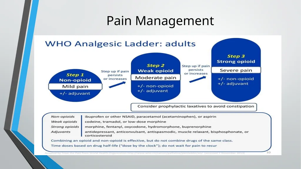Pain Management Objectives Describe pain. Explain - slide 23 of 30