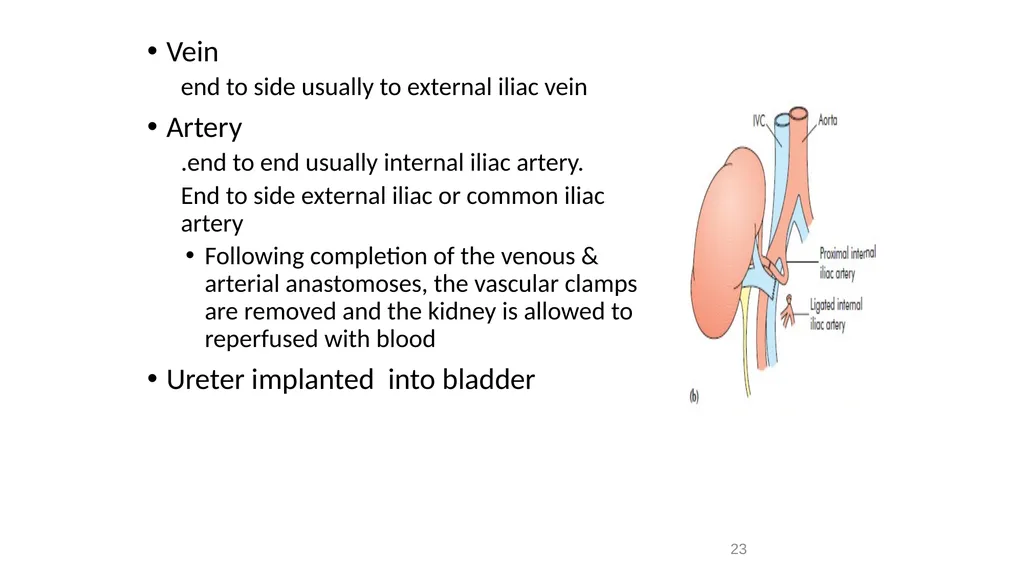 Transplantation surgery Dr. Ammar Fadil 1 History - slide 23 of 46