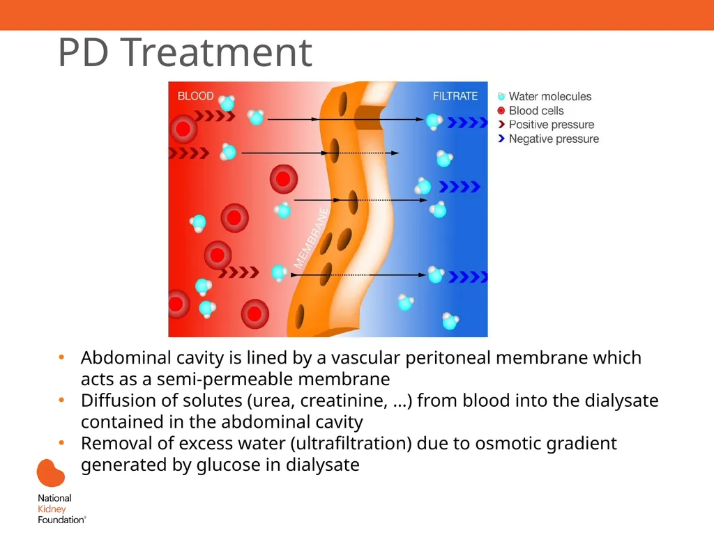 Renal Replacement Therapy: What the PCP Needs to - slide 35 of 64