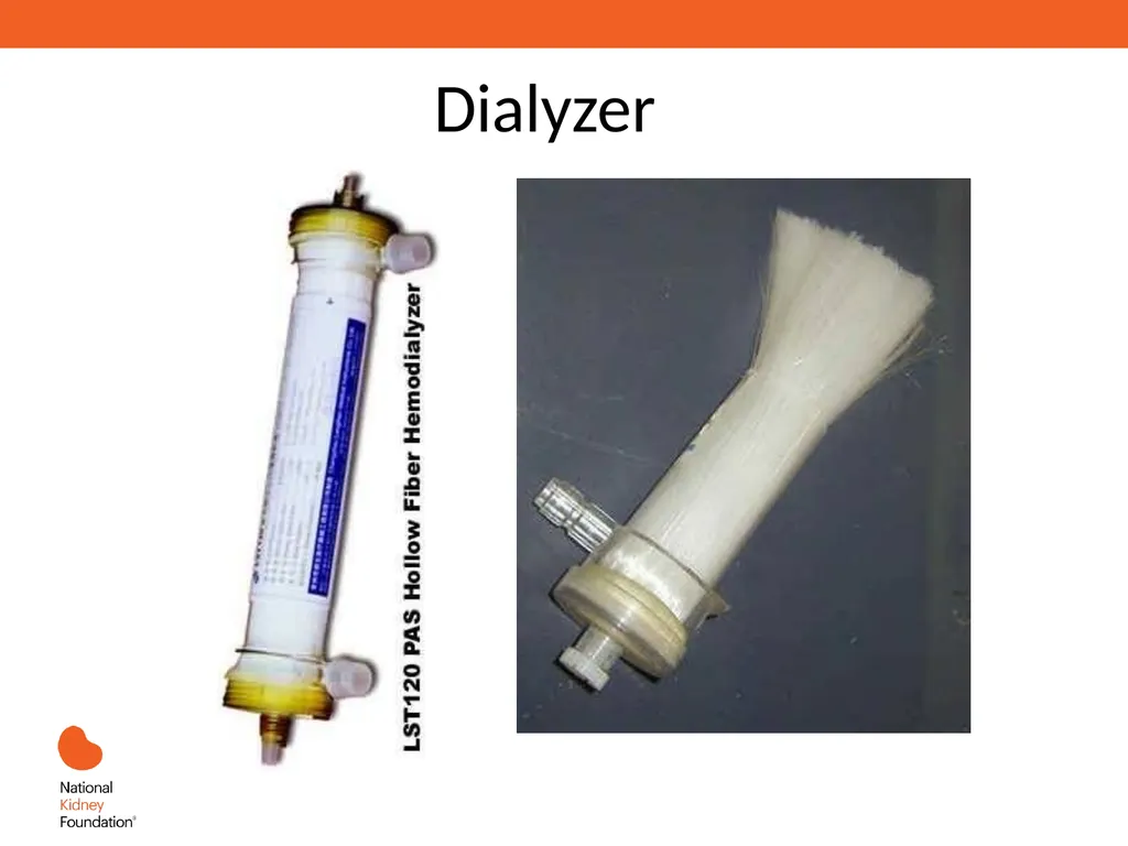 Renal Replacement Therapy: What the PCP Needs to - slide 21 of 64