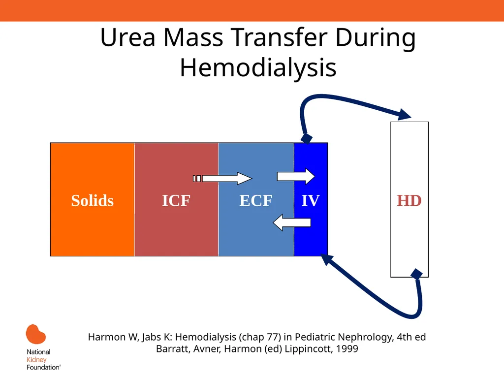 Renal Replacement Therapy: What the PCP Needs to - slide 20 of 64