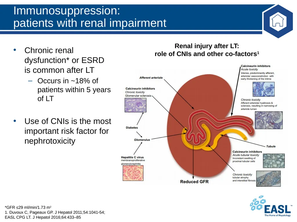 Liver transplantation Clinical Practice Guidelines - slide 45 of 87
