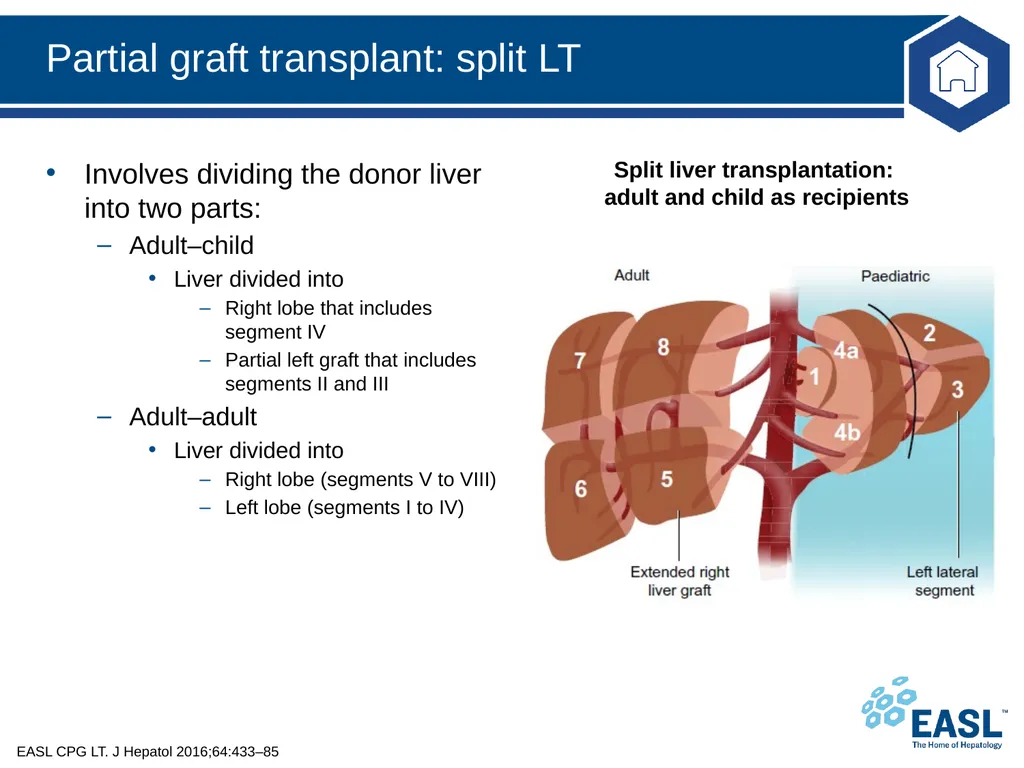 Liver transplantation Clinical Practice Guidelines - slide 38 of 87