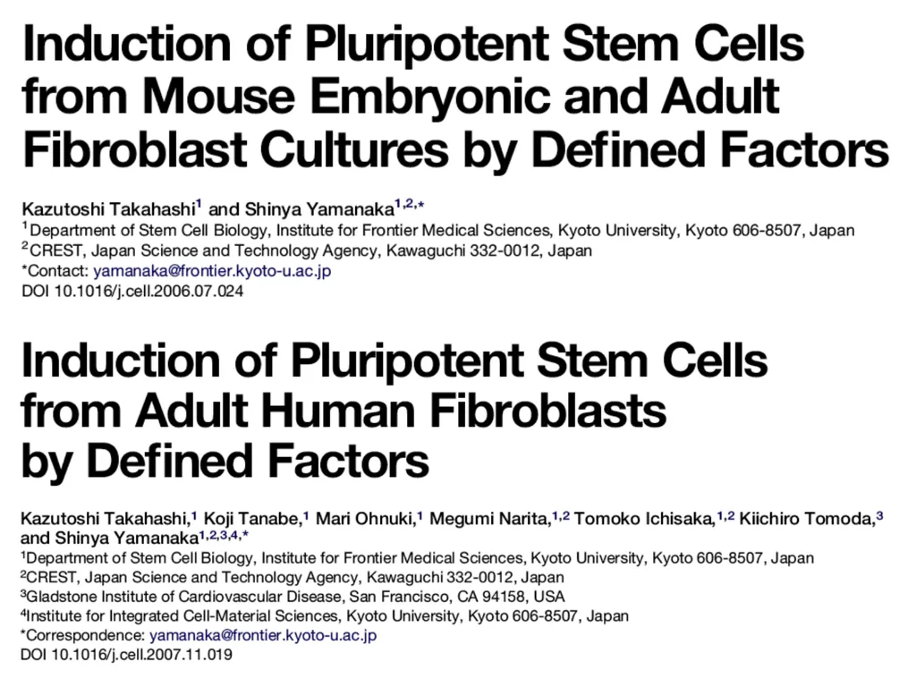 Human Induced Pluripotent Stem Cells (hiPS Cells) - slide 2 of 11