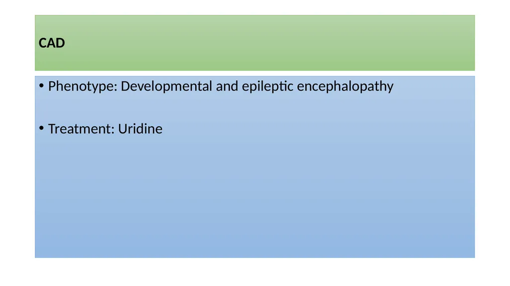 Precision Medicine in Epilepsy Management GET: - slide 13 of 98