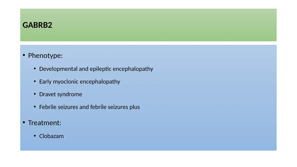 Precision Medicine in Epilepsy Management GET: - slide 33 of 98