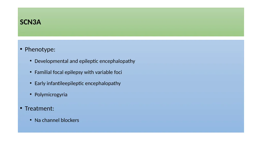 Precision Medicine in Epilepsy Management GET: - slide 82 of 98