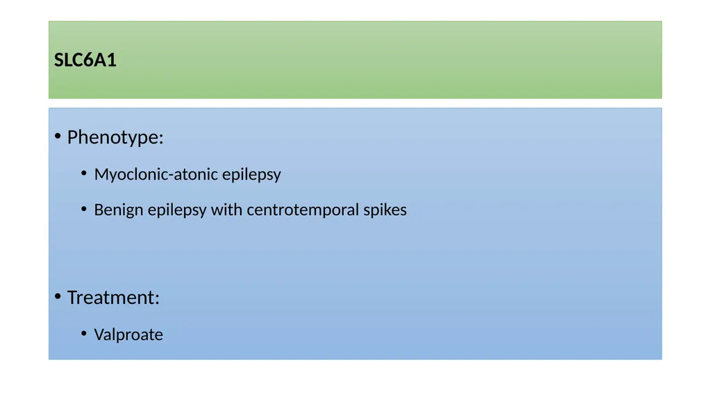 Precision Medicine in Epilepsy Management GET: - slide 89 of 98