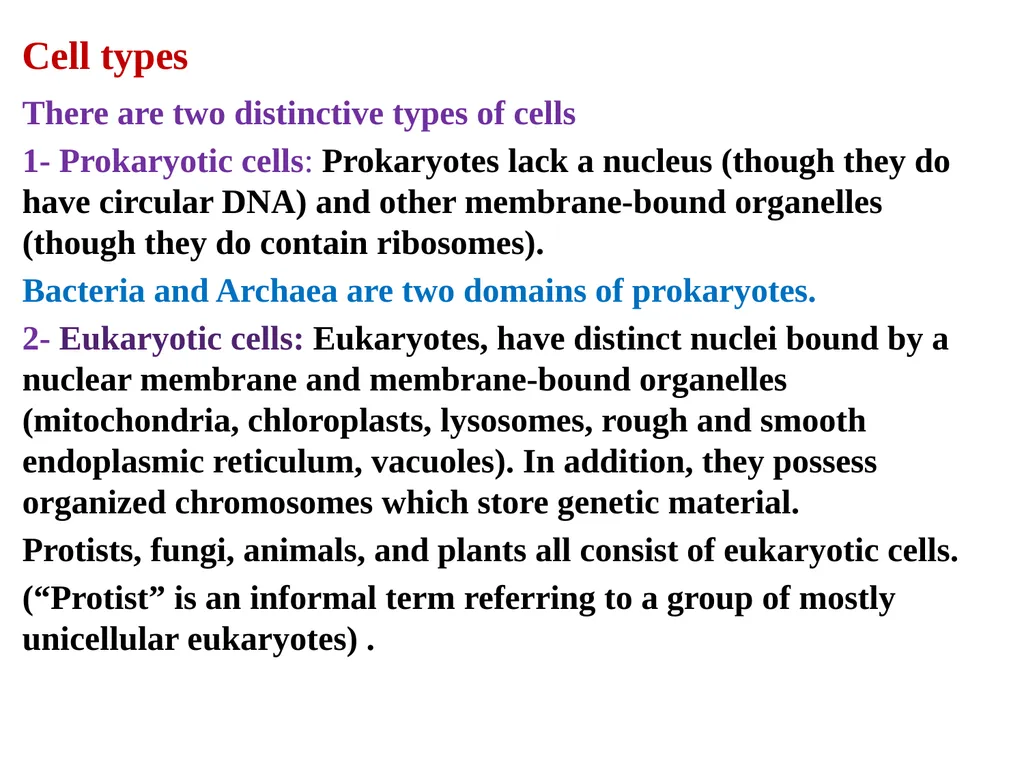 Prof . Dr. Younis A. Alkhafaji Lecture – 1 - - slide 4 of 10